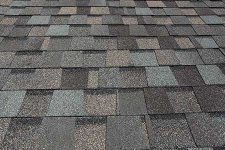 Shingle Roof